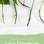 Water Propagation