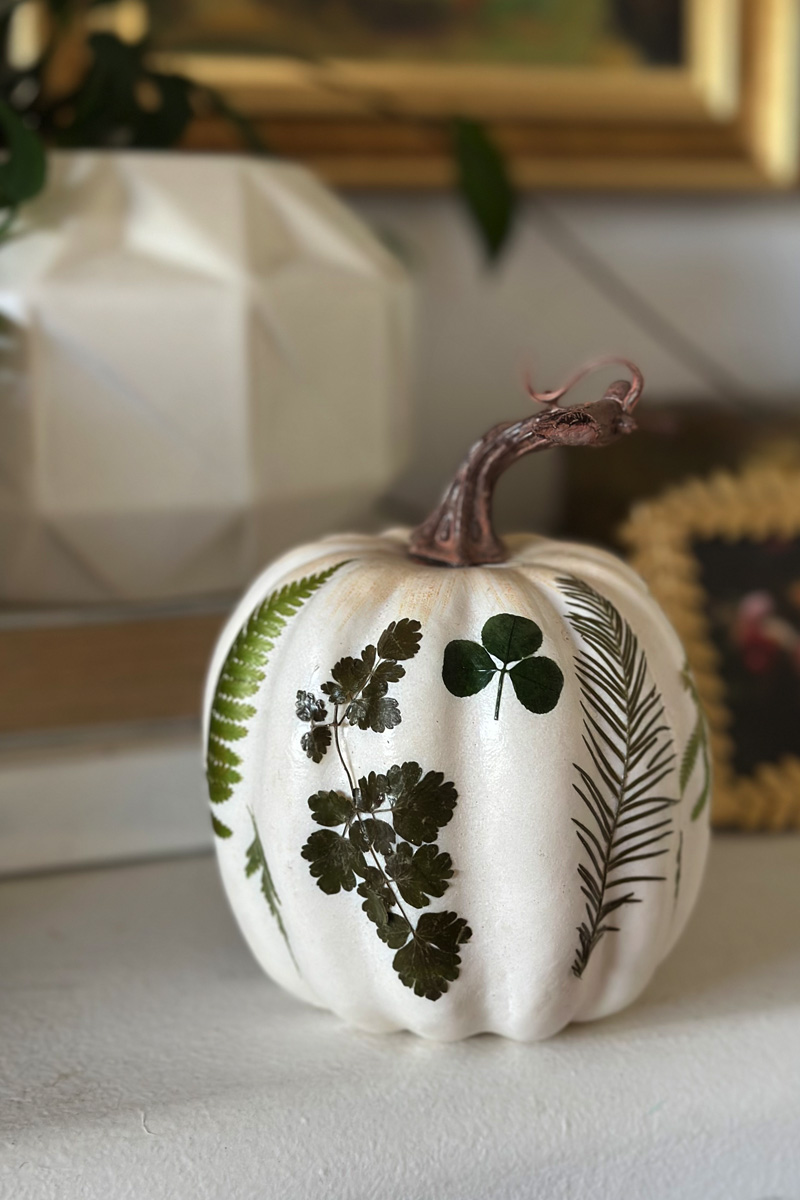 Pressed three leaf clover pumpkin