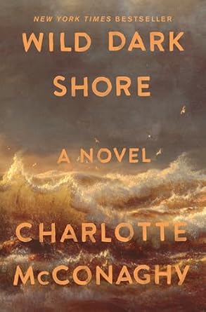 Wild Dark Shore, dark moody ocean waves cover - Cli-fi fiction book