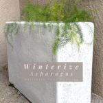 Winterizing Asparagus