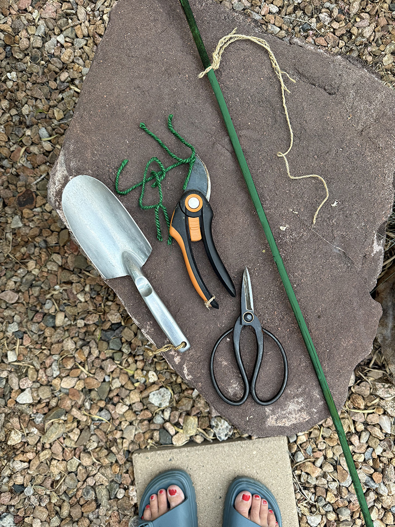 Hand pruners, garden sheers, garden twine, hand pruner and garden stake - Zucchini tree supplies